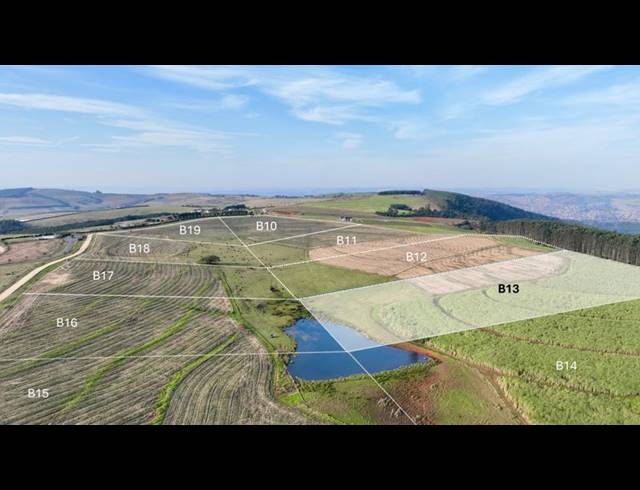 FARM FOR SALE IN MOUNT VERDE